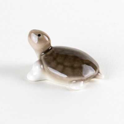 画像5: ミニ亀　（大）