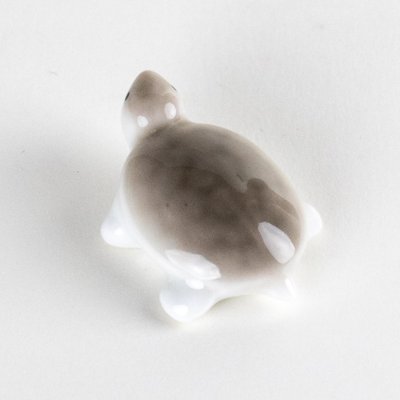 画像3: ミニ亀　（中）