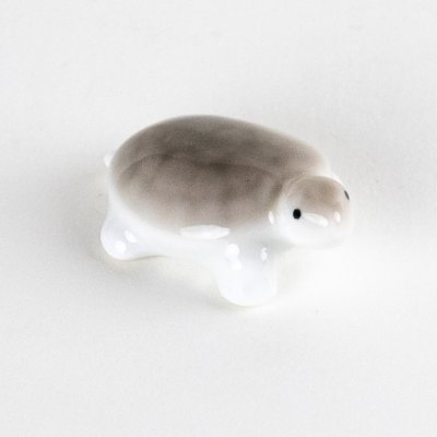 画像4: ミニ亀　（中）