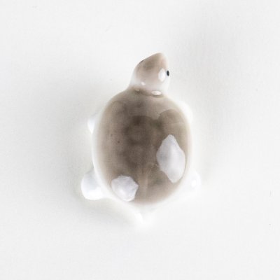 画像5: ミニ亀　（中）