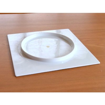 画像4: 錦荒磯（青彩） 正角盛皿