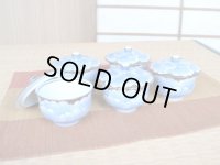 プラチナ牡丹 汲出し揃い（木箱入）