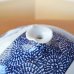 画像8: 大作 染付蛸唐草 間取山水絵 大壷 藤井錦彩 作 (8)