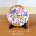 画像5: 金彩桜 飾り皿 皿立付き 金龍窯 作 (5)