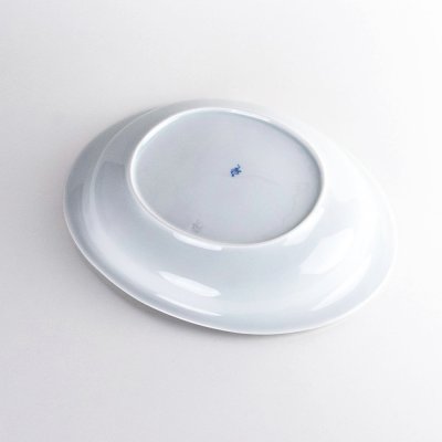 画像5: ニ彩丸紋　楕円カレー皿