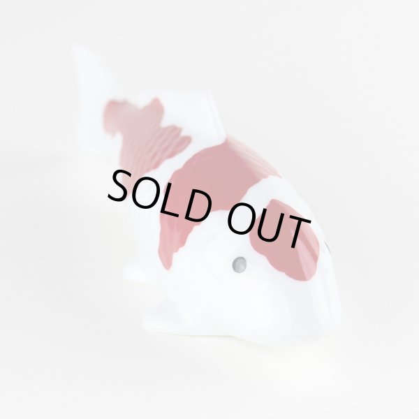 画像4: 紅白 鯉(A) (4)