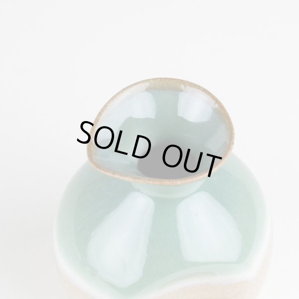 画像2: 晩秋 徳利 (2)