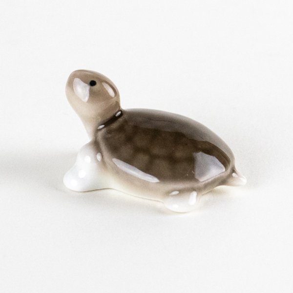 画像5: ミニ亀　（大） (5)