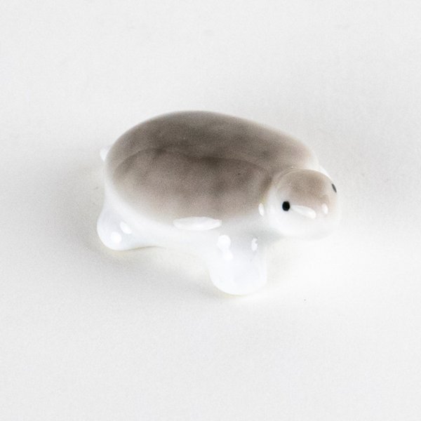 画像4: ミニ亀　（中） (4)