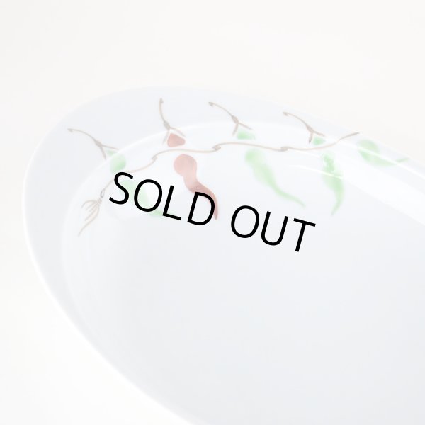 画像5: レッドペッパー 極上のカレー皿（大） (5)