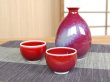 画像2: 辰砂 半酒器セット（馬場真右エ門窯 / 木箱入） (2)