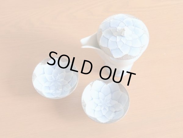 画像2: ダリア 至福の半酒器セット（徳利×１ / 盃×２） (2)