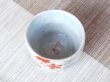 画像3: 赤絵桜ちらし ぐい飲み（木箱入） (3)