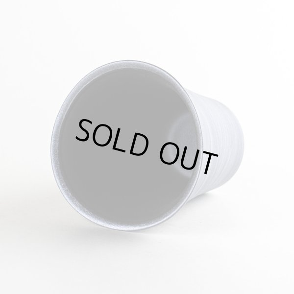 画像3: 【名入れ・名前入り】星河 銀彩フリーカップ (3)