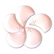 画像1: 日本のお土産 おみやげ 海外へのおみやげ 伝統工芸品 食器 有田焼 梅花びら赤 和皿 セット 陶器 日本製 (1)